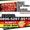 Distributor Rumput Sintetis Silau Laut.jpg