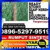 Grosir Rumput Sintetis Kota Cilegon.jpg