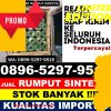 Distributor Rumput Imitasi Cigombong.jpg