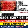 Penjual Rumput Sintetis Toma.jpg