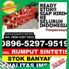 Grosir Rumput Palsu Pakis Aji.jpg