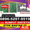 Grosir Rumput Sintetis Kota Medan.jpg