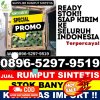 Distributor Rumput Imitasi Cikidang.jpg