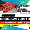 Grosir Rumput Palsu Pameungpeuk.jpg