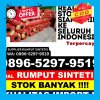 Jual Rumput Plastik Pakisjaya.jpg