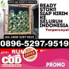 Distributor Rumput Imitasi Cimanuk.jpg