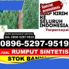 Penjual Rumput Imitasi Kota Madiun.jpg