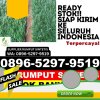 Grosir Rumput Sintetis Koto Xi Tarusan.jpg