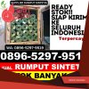 Distributor Rumput Imitasi Ciruas.jpg