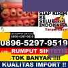 Penjual Rumput Sintetis V Koto Timur.jpg