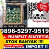 Penjual Rumput Plastik Bandung Kulon.jpg