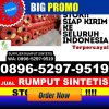 Agen Rumput Imitasi Penawar Tama.jpg