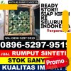 Distributor Rumput Imitasi Curio.jpg