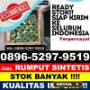 Penjual Rumput Plastik Banjarmasin Tengah.jpg