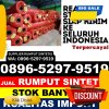 Jual Rumput Plastik Pantai Cermin.jpg