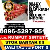 Agen Rumput Imitasi Pituruh.jpg