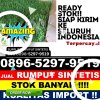 Gudang Rumput Palsu Jambu.jpg