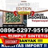 Penjual Rumput Plastik Batam Kota.jpg