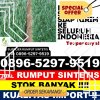 Grosir Rumput Sintetis Langsa Baro.jpg