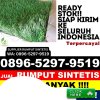 Distributor Rumput Imitasi Dumai Timur.jpg