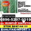 Penjual Rumput Imitasi Labuan Amas Selatan.jpg