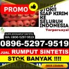 Distributor Rumput Sintetis Sungai Penuh.jpg