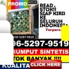 Penjual Rumput Plastik Bathin Iii Ulu.jpg