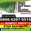 Distributor Rumput Imitasi Galesong.jpg