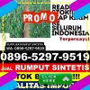 Penjual Rumput Imitasi Lebakgedong.jpg