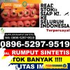 Distributor Rumput Sintetis Talang Ubi.jpg