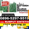 Grosir Rumput Sintetis Liukang Kalmas.jpg