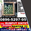 Pusat Rumput Imitasi Asembagus.jpg