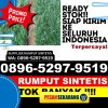 Penjual Rumput Imitasi Lengkiti.jpg