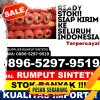 Distributor Rumput Sintetis Tambelang.jpg