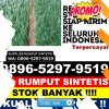 Grosir Rumput Sintetis Lubai Ulu.jpg