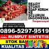 Agen Rumput Imitasi Raas.jpg