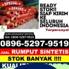 Jual Rumput Plastik Plosoklaten.jpg