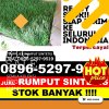 Distributor Rumput Imitasi Gunung Purei.jpg