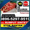 Grosir Rumput Palsu Puger.jpg