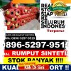 Jual Rumput Plastik Prabumulih Barat.jpg