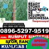 Penjual Rumput Imitasi Losari.jpg