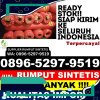 Distributor Rumput Sintetis Tanjung Pura.jpg