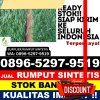 Grosir Rumput Sintetis Malalak.jpg