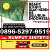 Distributor Rumput Imitasi Hantara.jpg