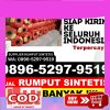 Jual Rumput Plastik Puhpelem.jpg