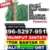 Penjual Rumput Imitasi Lumbir.jpg