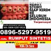 Distributor Rumput Sintetis Tegal Selatan.jpg