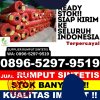 Grosir Rumput Palsu Raman Utara.jpg