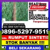 Penjual Rumput Imitasi Manding.jpg