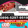 Agen Rumput Imitasi Samarinda Seberang.jpg